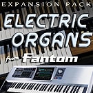 Yamaha Exapnsion Pack Fantom Organs